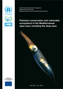 Fisheries Conservation and Vulnerable Ecosystems in the Mediterranean Open Seas, Including the Deep Seas