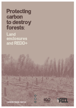 Protecting Carbon to Destroy Forests: Land Enclosures and REDD+
