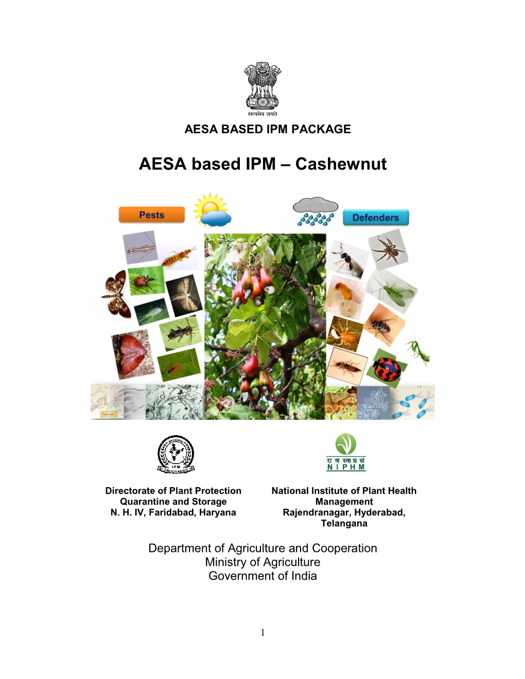 AESA Based IPM – Cashewnut