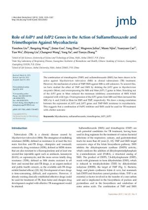 Role of Folp1 and Folp2 Genes in the Action of Sulfamethoxazole and Trimethoprim Against Mycobacteria