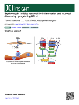 Erythromycin Inhibits Neutrophilic Inflammation and Mucosal Disease by Upregulating DEL-1