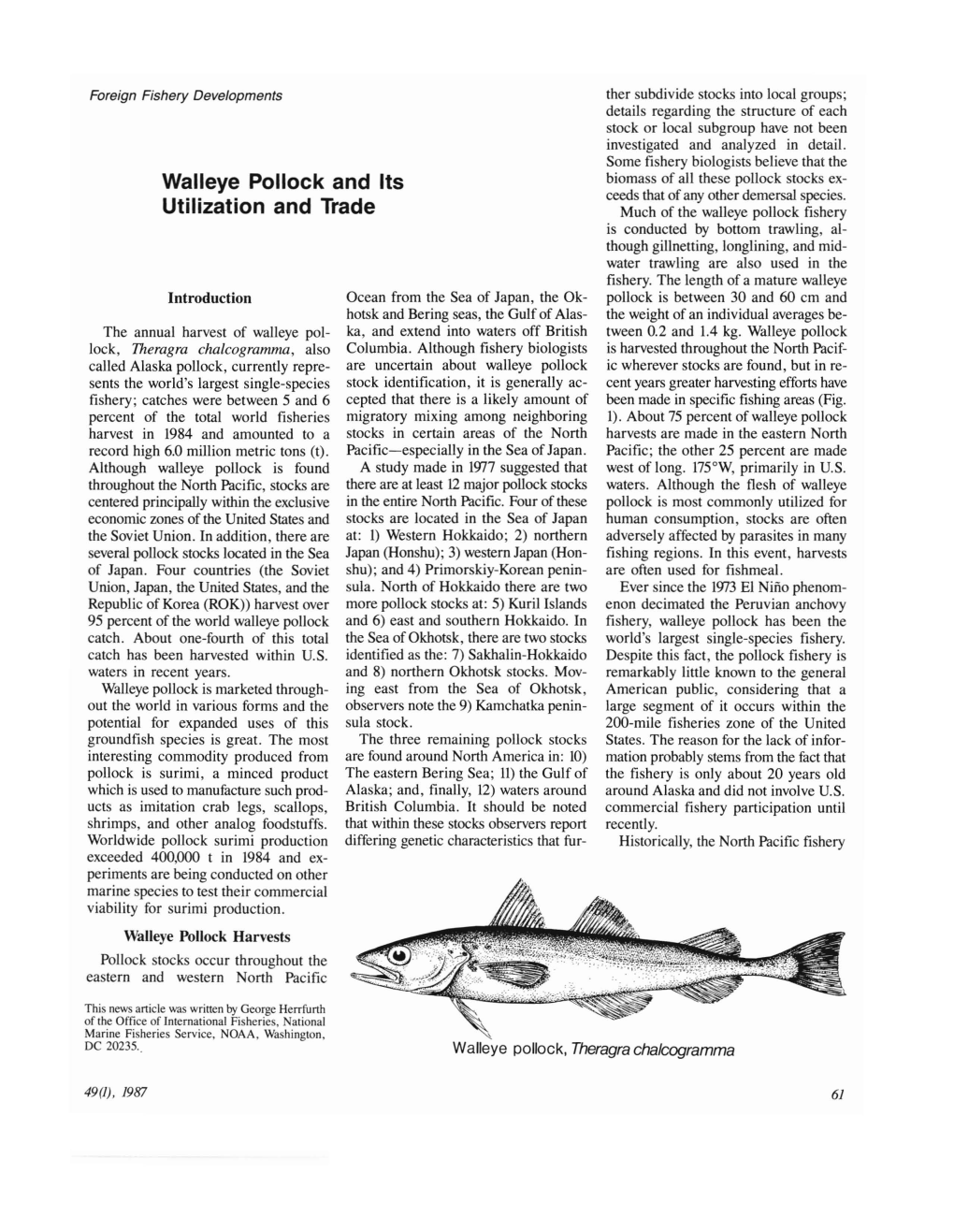 Walleye Pollock and Its Utilization and Trade