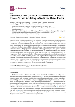 Distribution and Genetic Characterization of Border Disease Virus Circulating in Sardinian Ovine Flocks