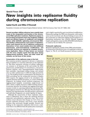 New Insights Into Replisome Fluidity During Chromosome Replication