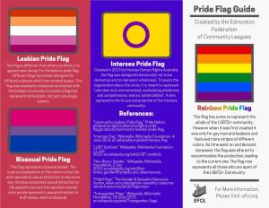 Pride Flag Guide
