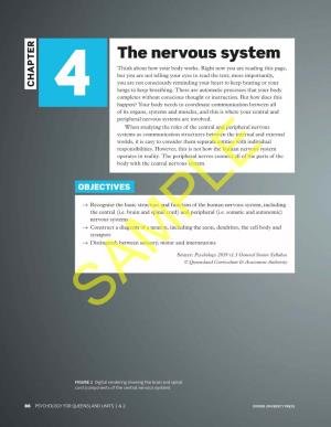 The Nervous System Think About How Your Body Works
