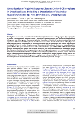 Identification of Highly Divergent Diatom-Derived Chloroplasts in Dinoflagellates, Including a Description of Durinskia Kwazulunatalensis Sp