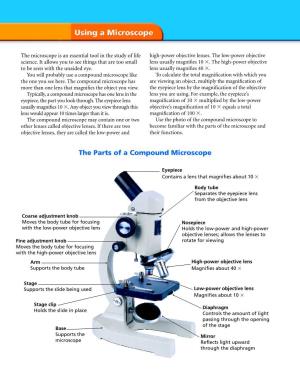 The Parts of a Compound Microscope