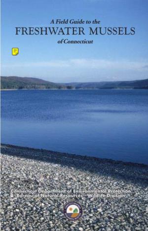 A Field Guide to the FRESHWATER MUSSELS of Connecticut a Field Guide to the FRESHWATER MUSSELS of Connecticut
