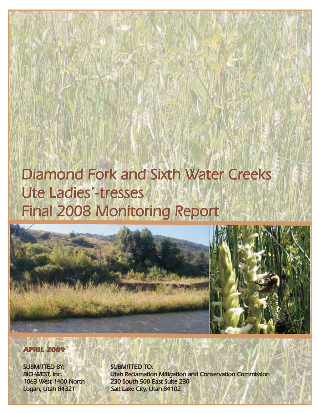 Diamond Fork and Sixth Water Creeks Ute Ladies