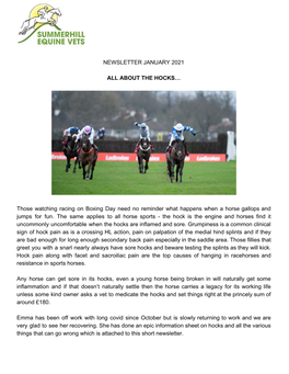 Newsletter January 2021 All About the Hocks…