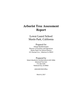 Arborist Tree Assessment Report