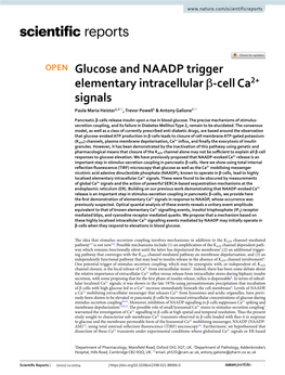 Glucose and NAADP Trigger Elementary Intracellular Β-Cell Ca2+