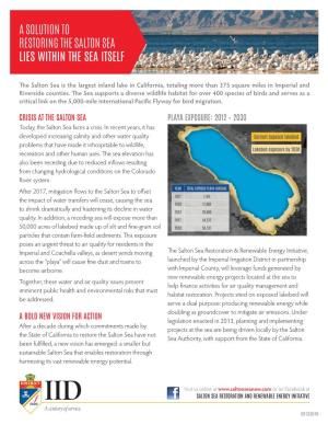 A Solution to Restoring the Salton Sea Lies Within the Sea Itself