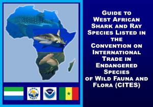 Guide to West African Shark and Ray Species Listed in CITES