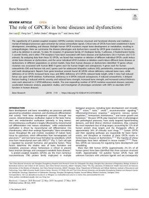 The Role of Gpcrs in Bone Diseases and Dysfunctions