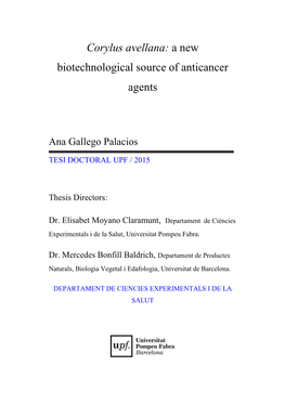 Corylus Avellana: a New Biotechnological Source of Anticancer Agents