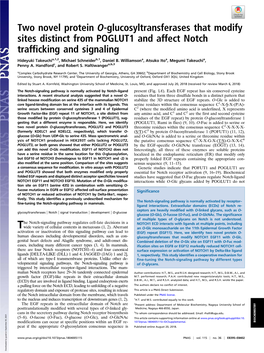 Two Novel Protein O-Glucosyltransferases That Modify Sites Distinct from POGLUT1 and Affect Notch Trafficking and Signaling