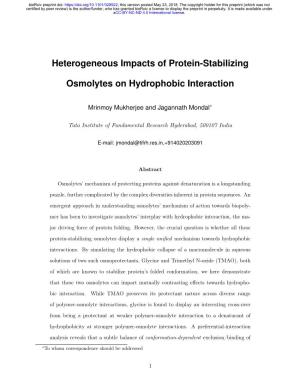Heterogeneous Impacts of Protein-Stabilizing Osmolytes On