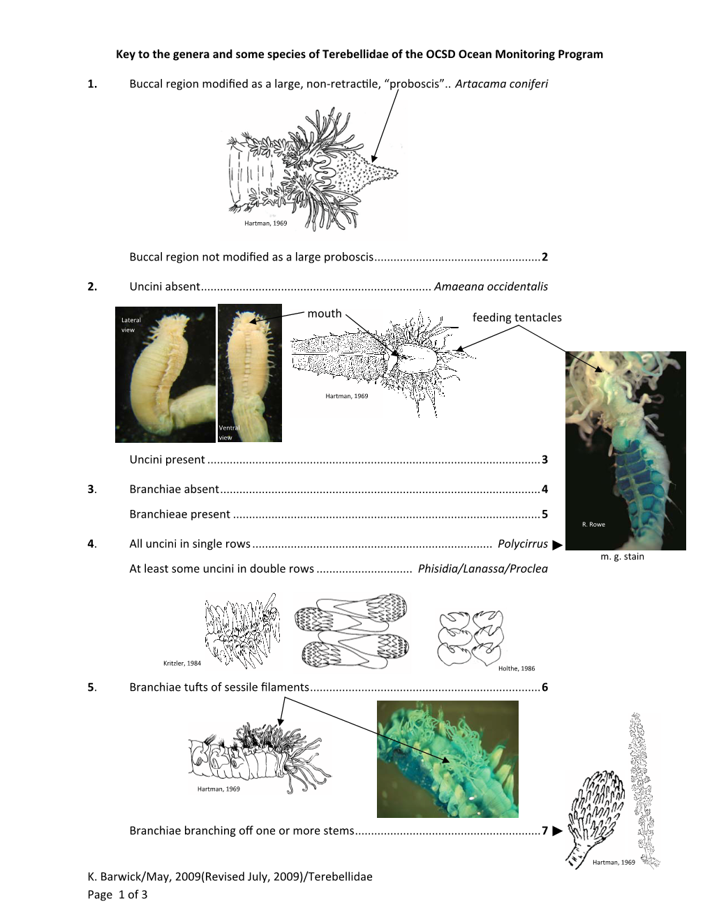 Key to Genera of Terebellidae