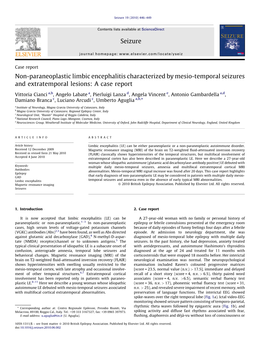 Non-Paraneoplastic Limbic Encephalitis Characterized by Mesio-Temporal Seizures and Extratemporal Lesions: a Case Report