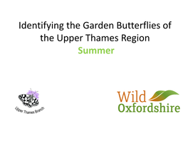 Identifying the Garden Butterflies of the Upper Thames Region Summer Very Top Tip