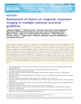 Assessment of Lesions on Magnetic Resonance Imaging in Multiple Sclerosis: Practical Guidelines