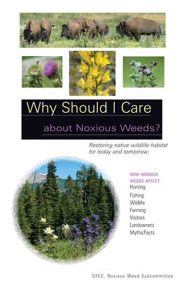 Why Should I Care About Noxious Weeds?