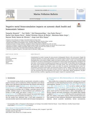Negative Metal Bioaccumulation Impacts on Systemic Shark Health and Homeostatic Balance