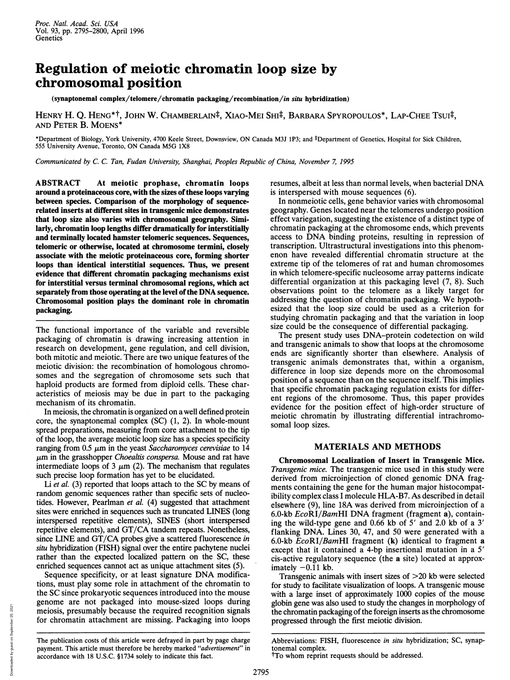 Regulation of Meiotic Chromatin Loop Size by Chromosomal Position (Synaptonemal Complex/Telomere/Chromatin Packaging/Recombination/In Situ Hybridization) HENRY H