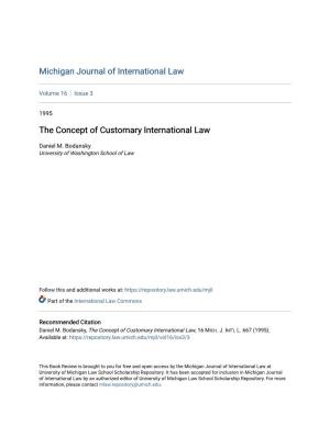 The Concept of Customary International Law