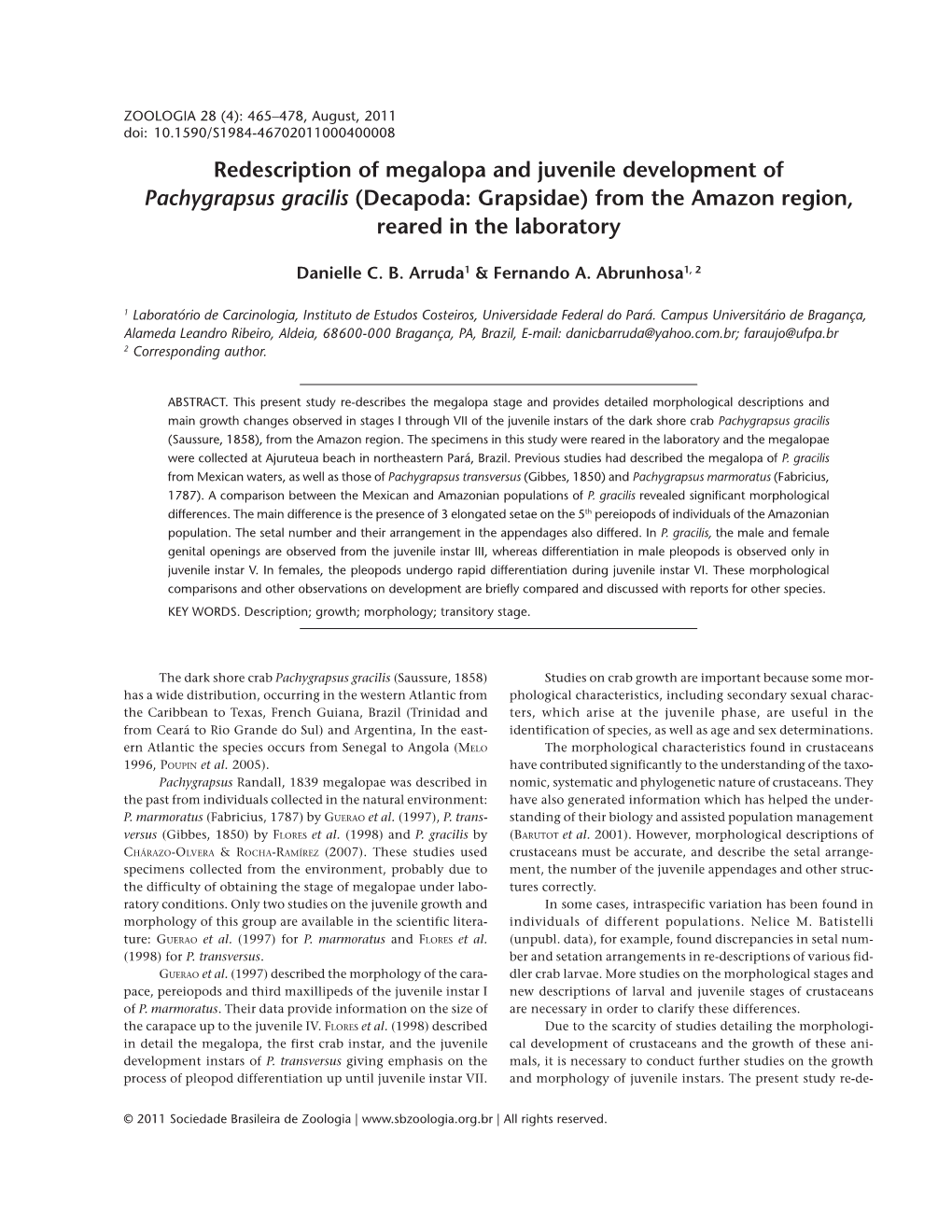 Redescription of Megalopa and Juvenile Development of Pachygrapsus Gracilis (Decapoda: Grapsidae) from the Amazon Region, Reared in the Laboratory