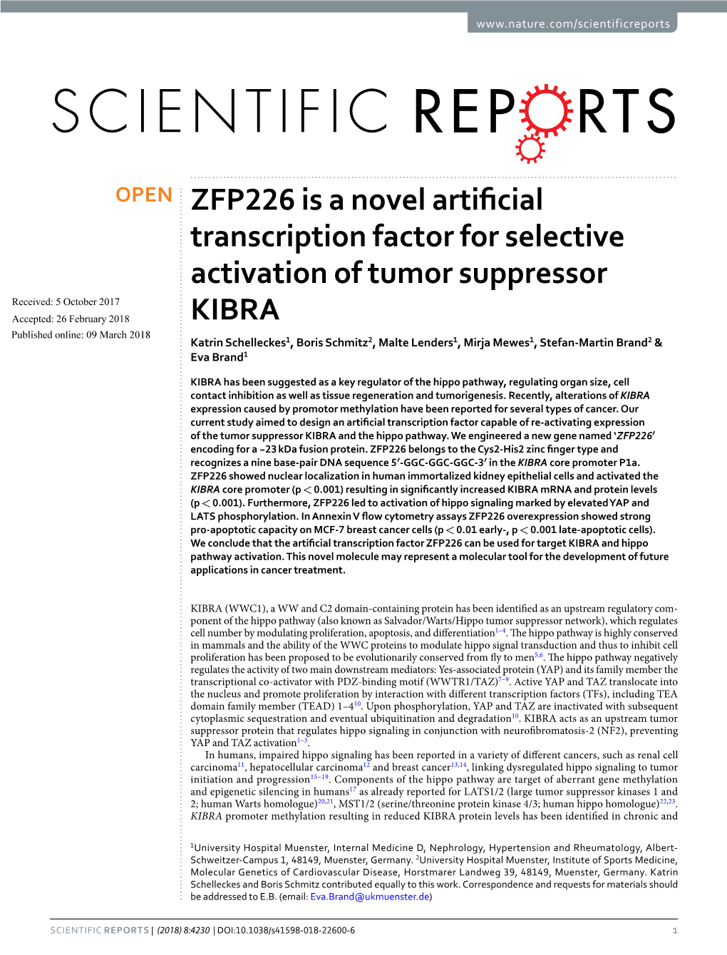 ZFP226 Is a Novel Artificial Transcription Factor for Selective