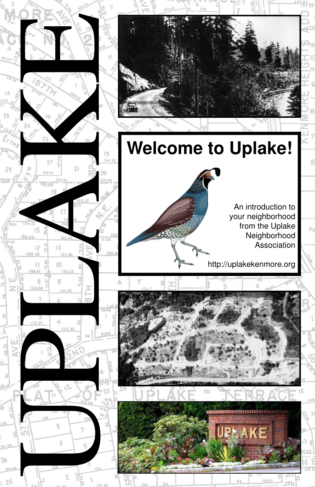 Welcome to Uplake! This Is the Brand New Third Edition of a Get-To-Know-The-Neighborhood Guide, Courtesy of the Uplake Neighborhood Association