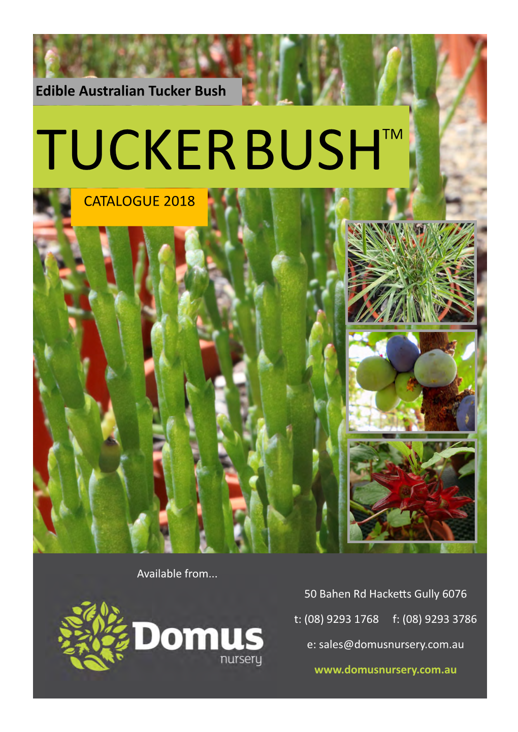 CATALOGUE 2018 TM Edible Australian Tucker Bush