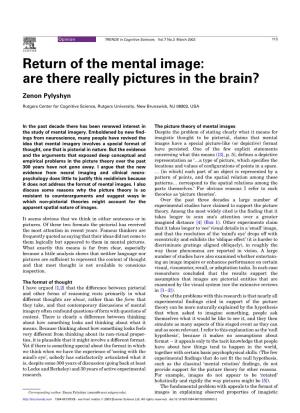 Return of the Mental Image: Are There Really Pictures in the Brain?