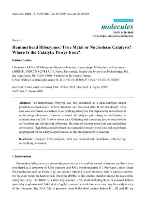 Hammerhead Ribozymes: True Metal Or Nucleobase Catalysis? Where Is the Catalytic Power From?