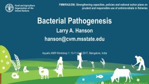 Pathogenesis of Bacterial Pathogens