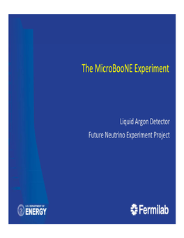 The Microboone Experiment