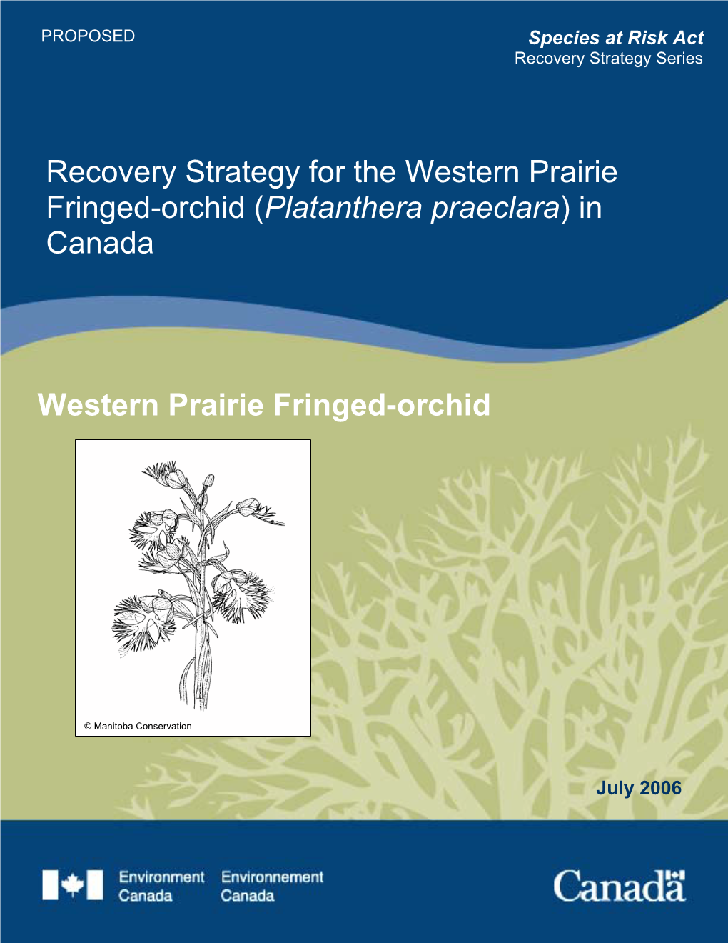 Western Prairie Fringed-Orchid (Platanthera Praeclara) in Canada