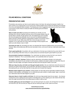 Feline Medical Conditions Preventative Care