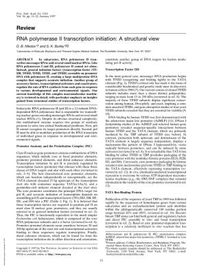 Review RNA Polymerase II Transcription Initiation