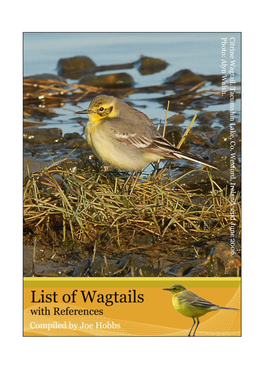Wagtail References