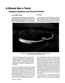 A Womb Not a Tomb Goddess Symbols and Ancient Ireland