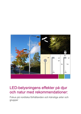 LED-Belysningens Effekter På Djur Och Natur Med Rekommendationer: Fokus På Nordiska Förhållanden Och Känsliga Arter Och Grupper