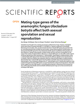 Mating-Type Genes of the Anamorphic Fungus Ulocladium Botrytis Affect