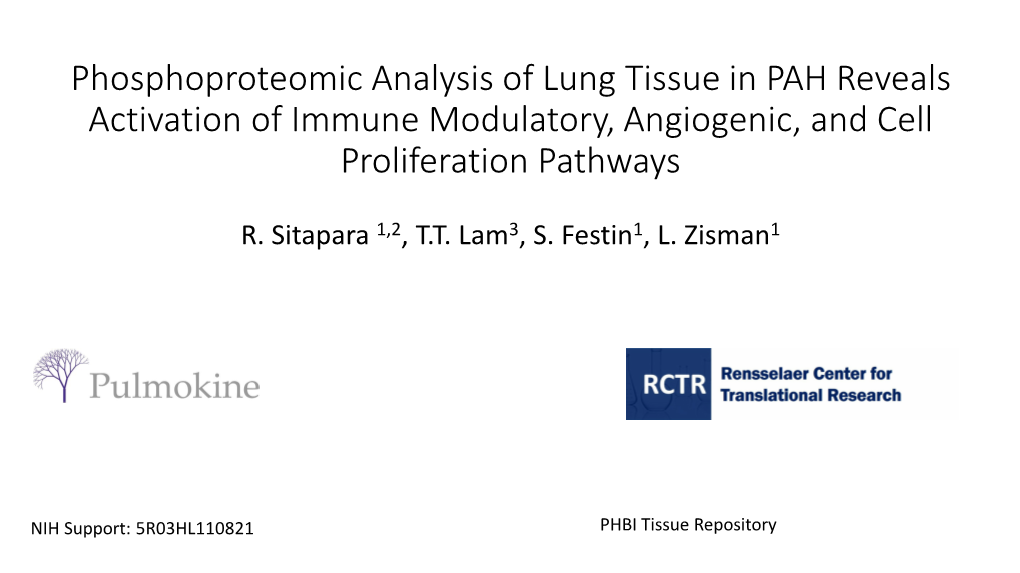 Phosphoproteomic Analysis of Lung Tissue in Pahreveals Activation Of