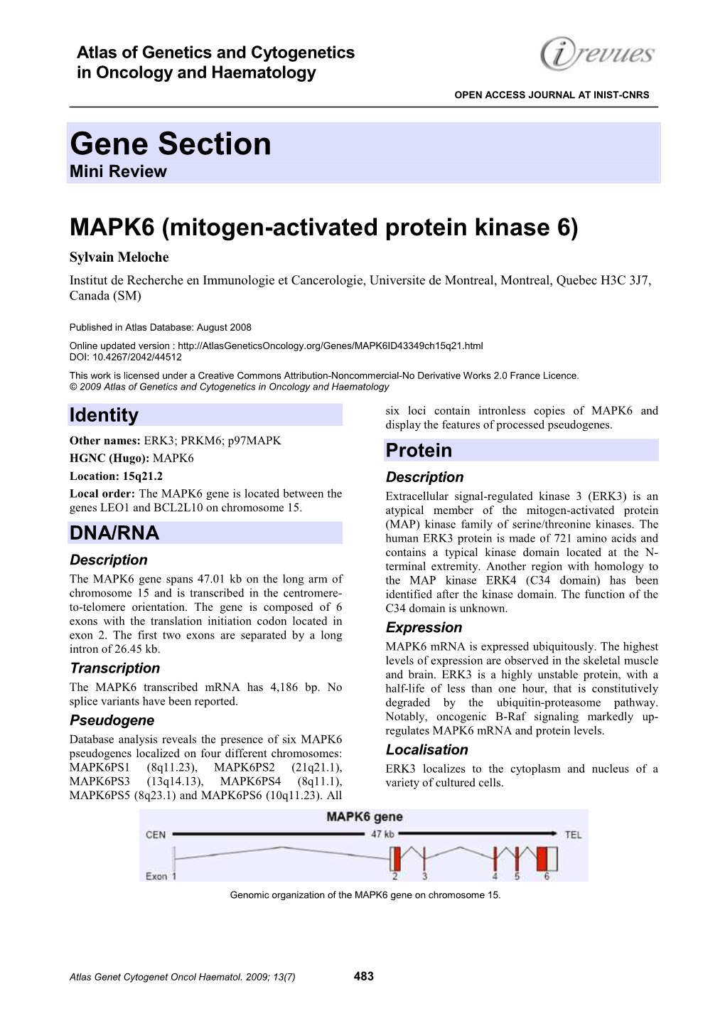 Gene Section Mini Review