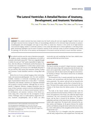 The Lateral Ventricles: a Detailed Review of Anatomy, Development, and Anatomic Variations