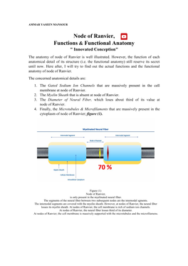 Node of Ranvier, Functions & Functional Anatomy